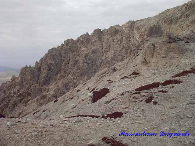 Prena06.jpg, 12/12/2001, 50 kB