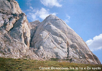 bonacossa01.jpg, 03/01/2002, 56 kB