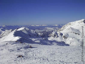 cefalone03.jpg, 22/02/2002, 13 kB