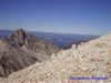 CorvoCampostosto01.jpg