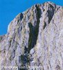 paretone01.jpg
