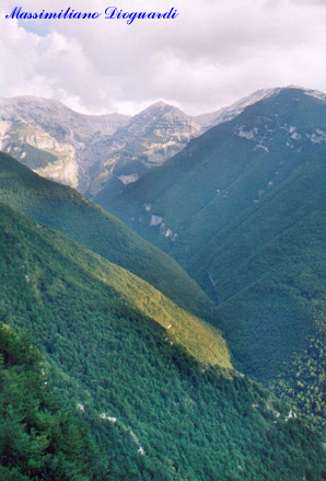 valle_orfento_01.jpg, 18/12/2001, 47 kB