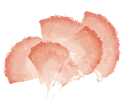watercolor brushstrokes