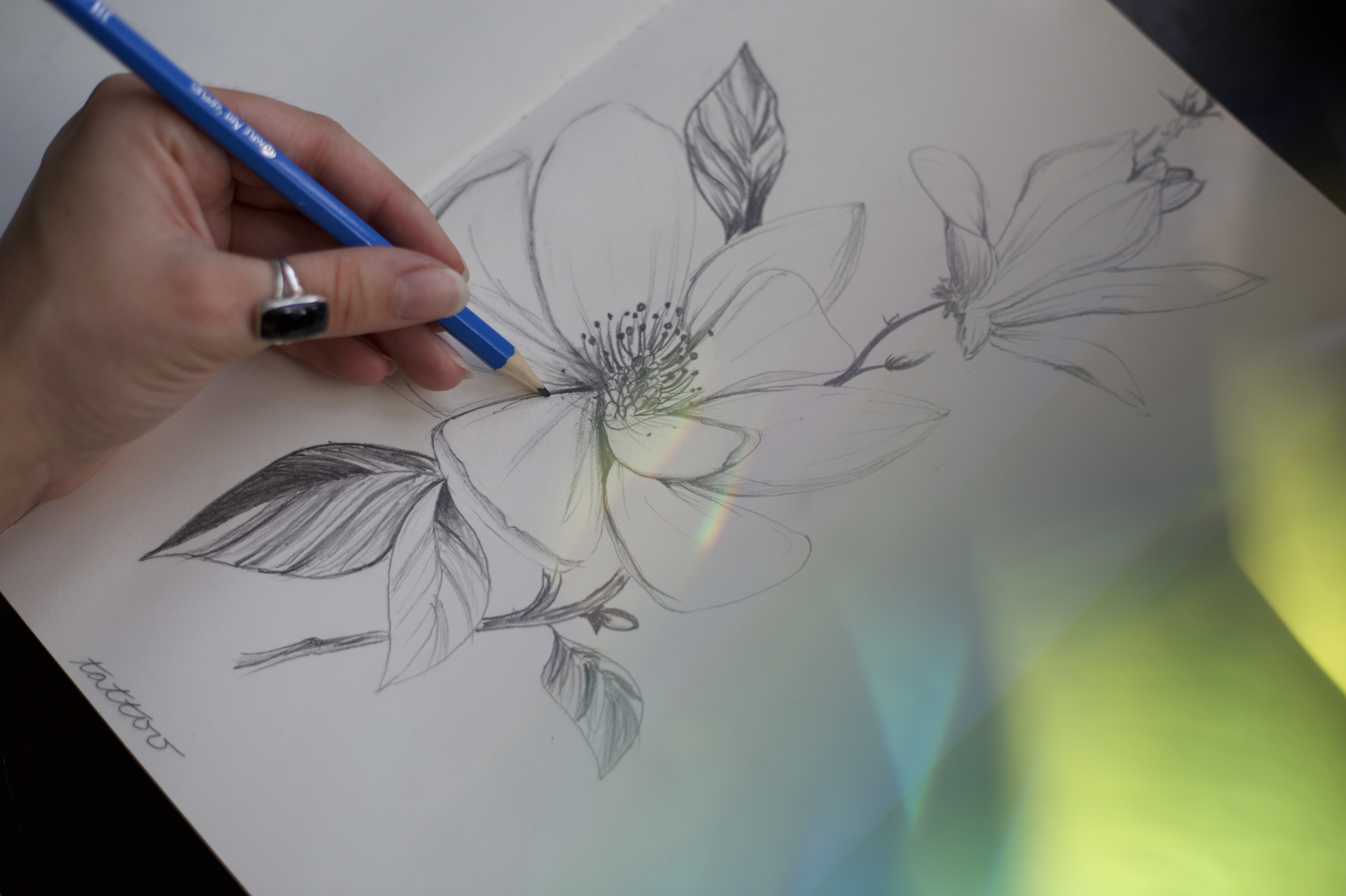 flower tattoo drawing