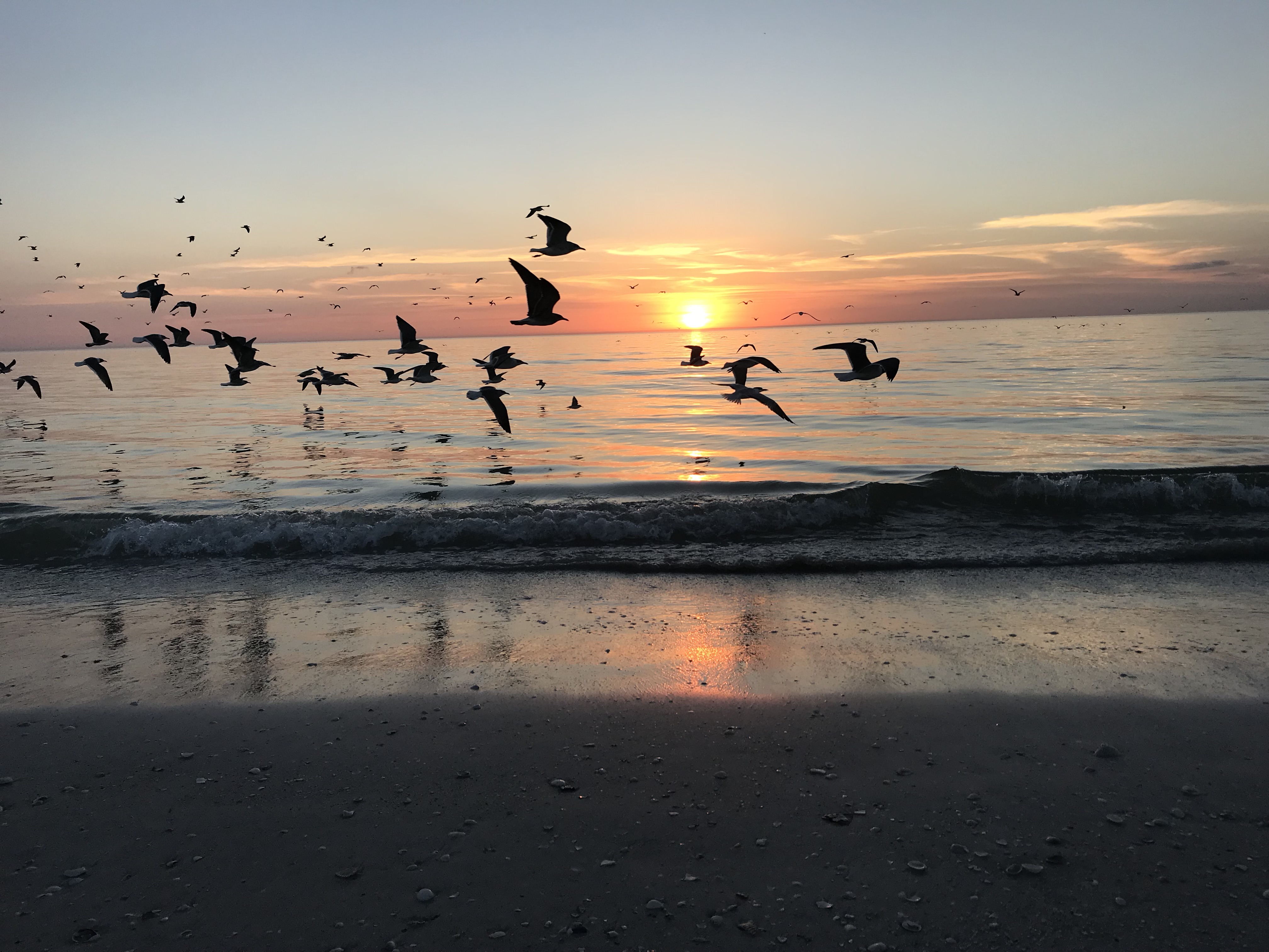 sunset in florida