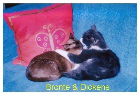 Bronte&Dickens