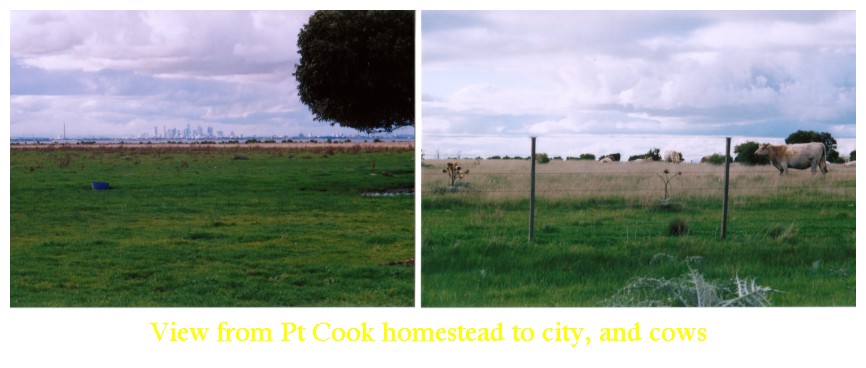 ptcook-city