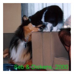 seb & dickens