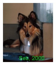 seb