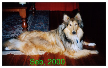 seb
