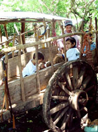 ox cart at San Pedro y San Pablo