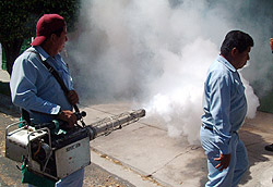 Fumigation of homes