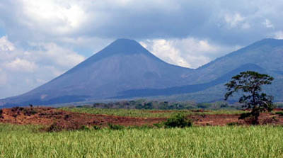 Rich agricultural land