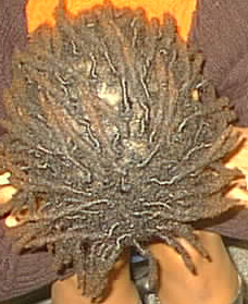 locs month 7