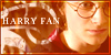 Harry Potter fan