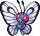 Butterfree Fan