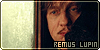 Remus Lupin Fan