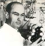 En el laboratorio d�nde naci� la LSD