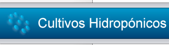 Especial Cultivos Hidrop�nicos