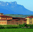 Winery Dinastía Vivanco