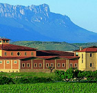 Bodegas Dinast&iacute;a Vivanco