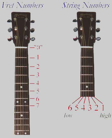 Frets