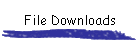 File Downloads