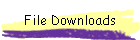 File Downloads