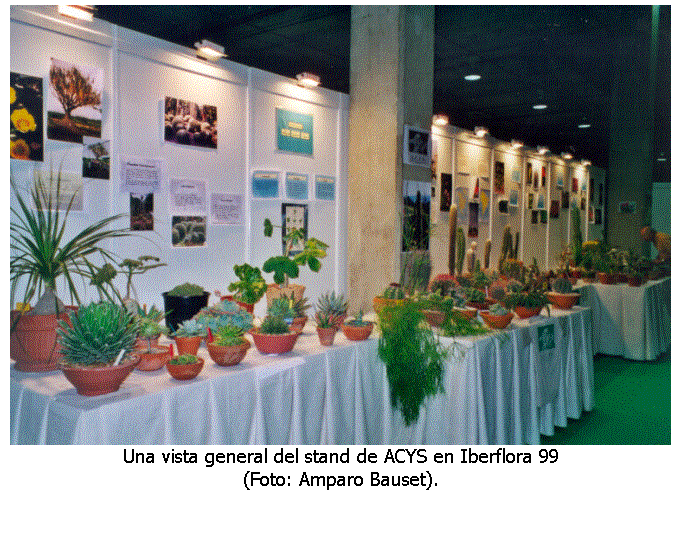 Cuadro de texto:  
Una vista general del stand de ACYS en Iberflora 99 
(Foto: Amparo Bauset).
