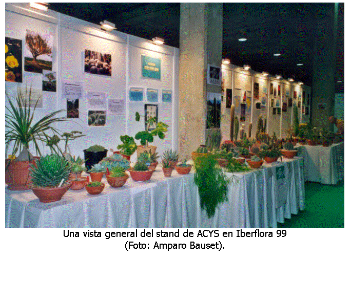 Cuadro de texto:
Una vista general del stand de ACYS en Iberflora 99
(Foto: Amparo Bauset).