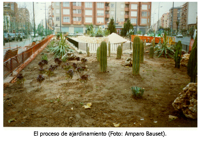Cuadro de texto:
El proceso de ajardinamiento (Foto: Amparo Bauset).