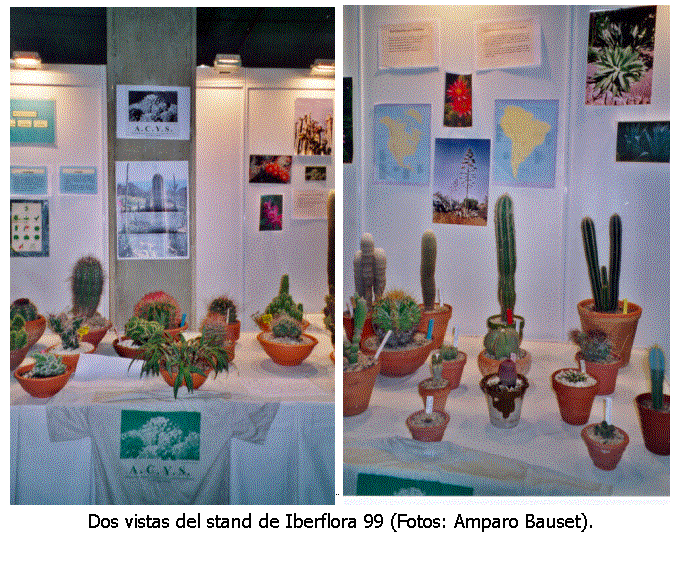 Cuadro de texto:  � 
Dos vistas del stand de Iberflora 99 (Fotos: Amparo Bauset).
