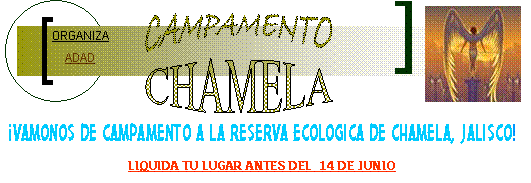 CAMPAMENTO,CHAMELA