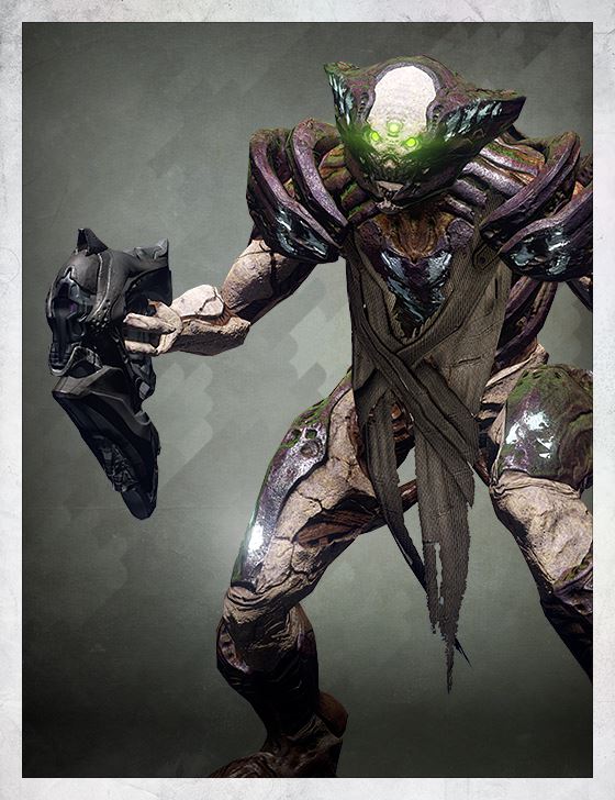 hiveImagee