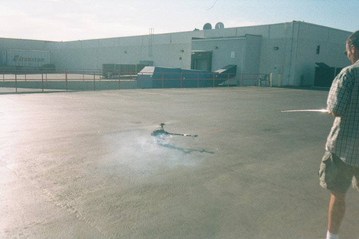 Raptor