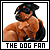 The Dog Fan!