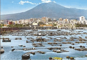 Il Vesuvio visto da Torre Annunziata