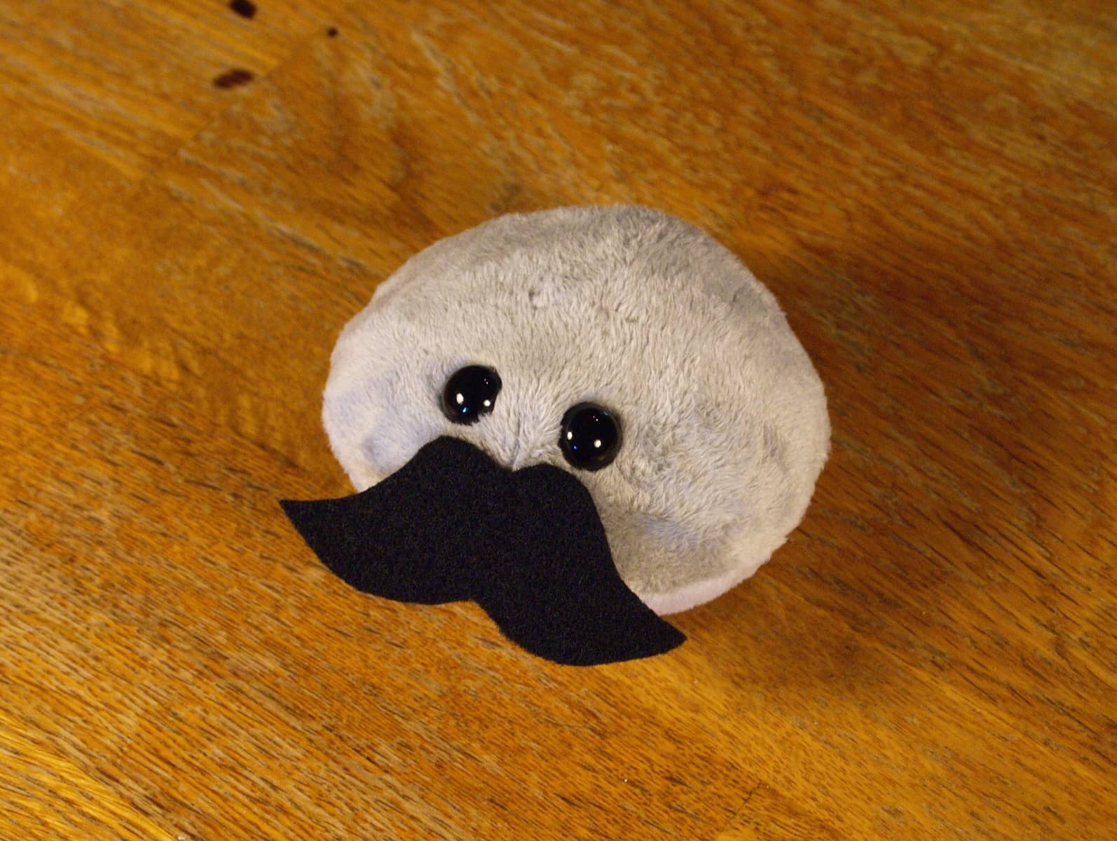 Pet Rock