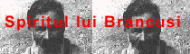Sa salvam spiritul lui Brancusi