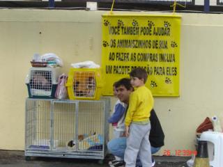 Visitantes1