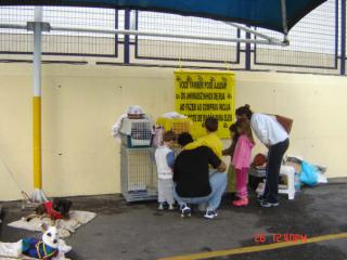 Visitantes2