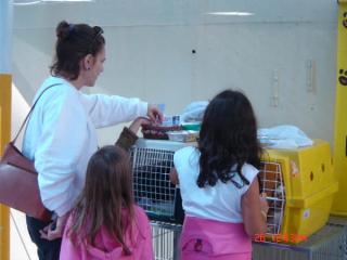 Visitantes5