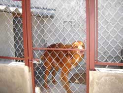 Ric Casa 1
