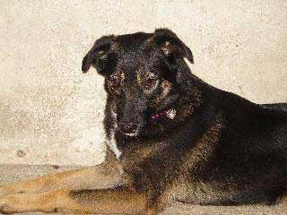 Wilminha