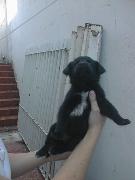 Menina da Lola