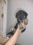 Menina da Lola