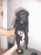 Menino da Lola