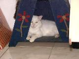 Gaspar