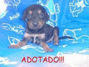 Menino da Charlotte