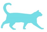 gato